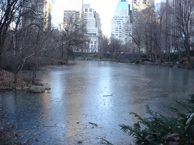 池も凍るセントラルパーク