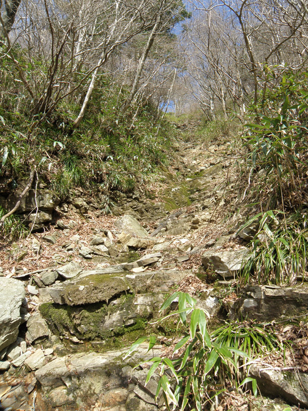 桑瀬峠への登り