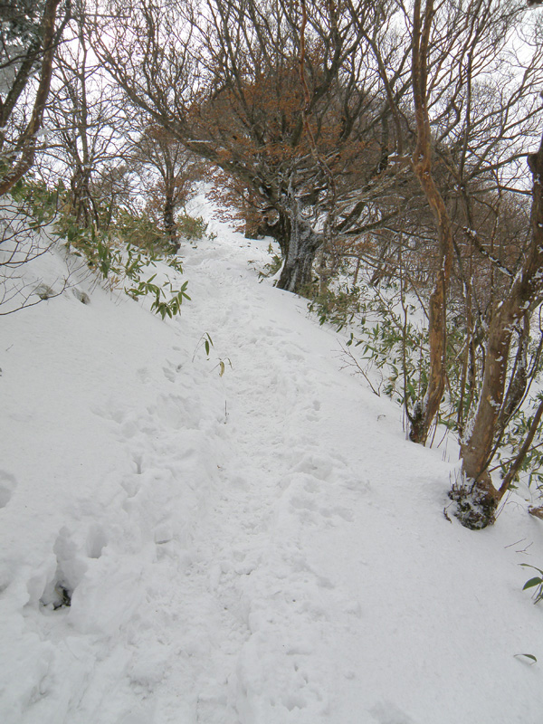 伊予富士への登山道