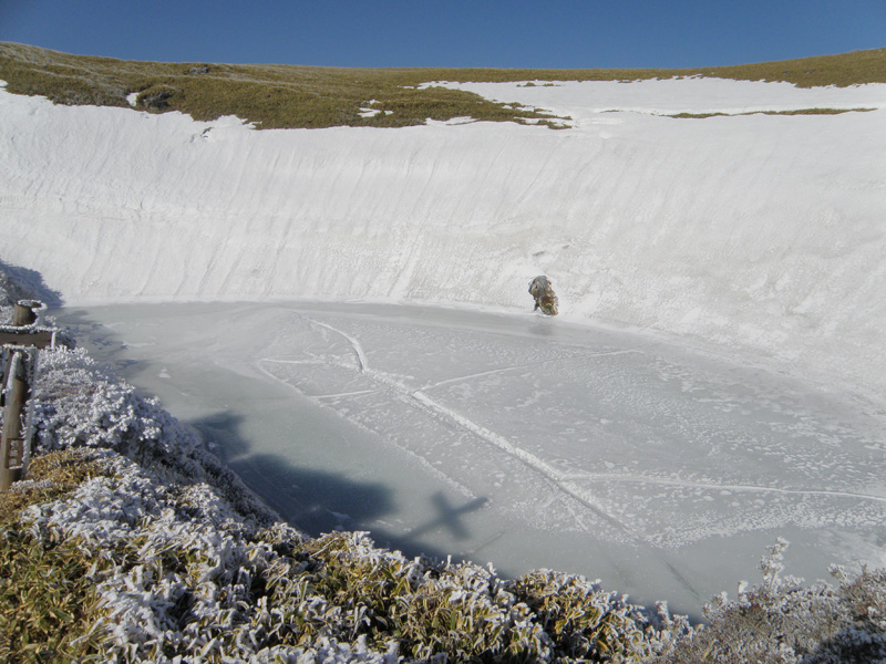 凍りついた池