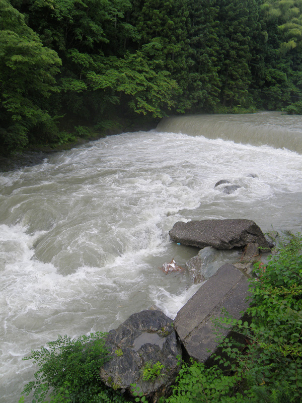 増水した貞光川