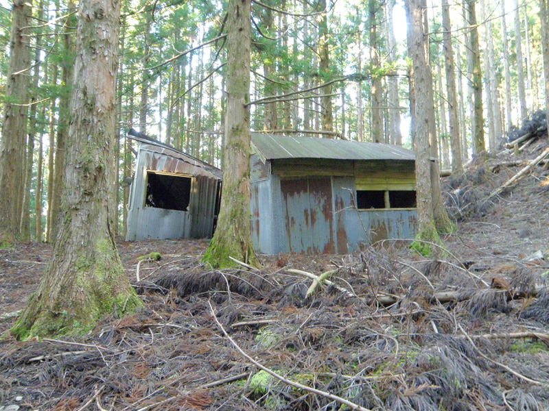 旧造林小屋