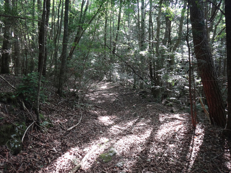 立ち入り禁止の遊歩道
