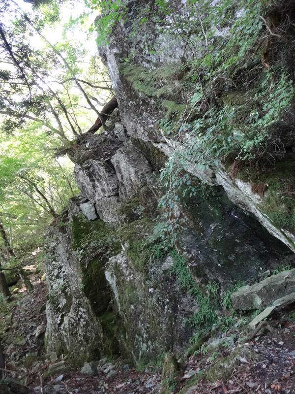 登山道脇の岩