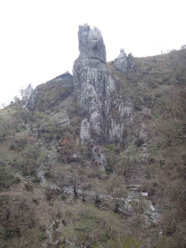 剣山の大岩