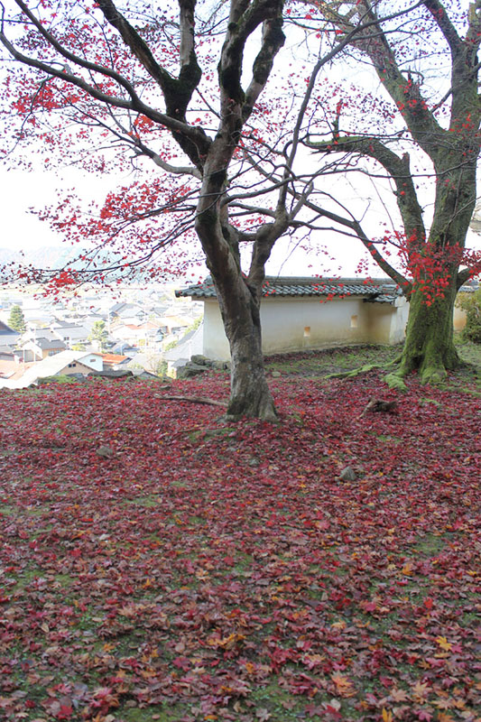 出石城の紅葉