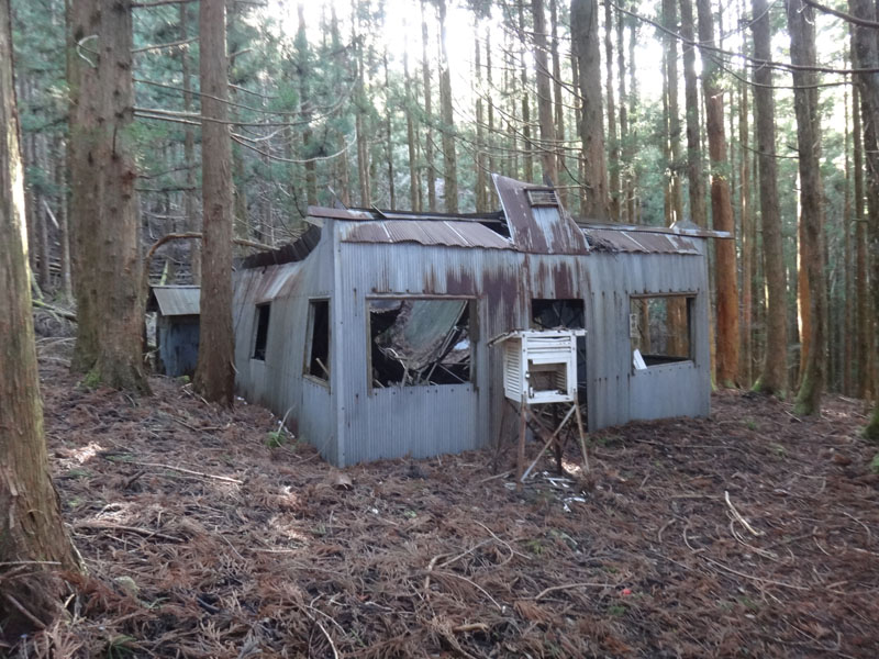 旧造林小屋