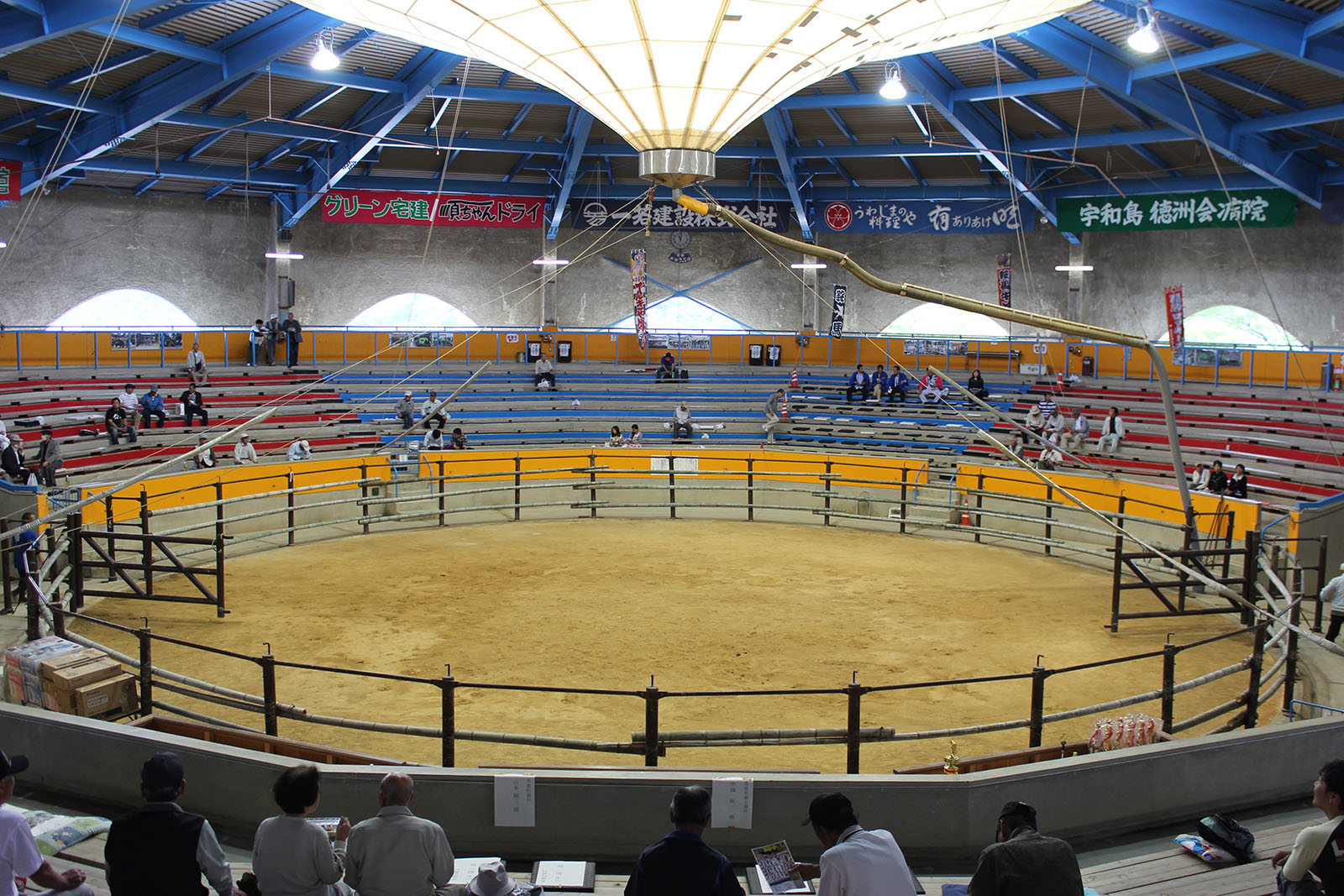 宇和島闘牛 平凡なブログ