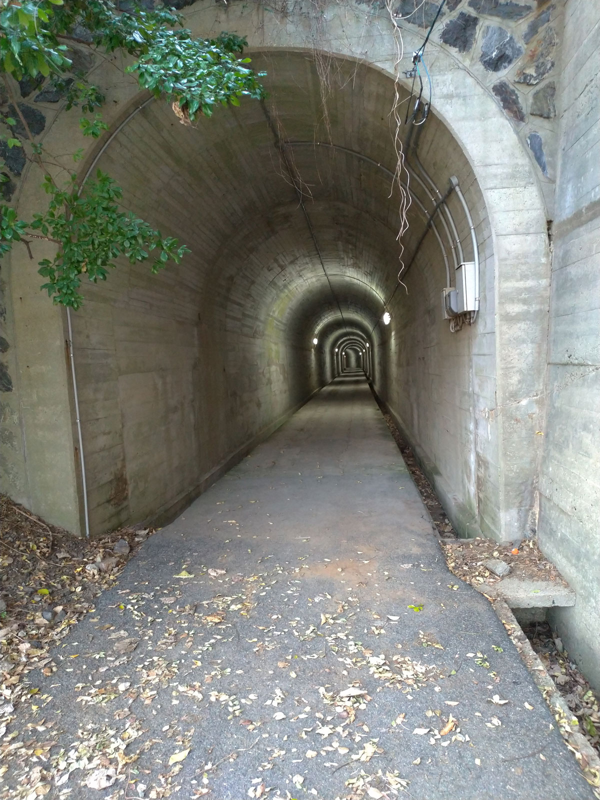 訓練所へのトンネル